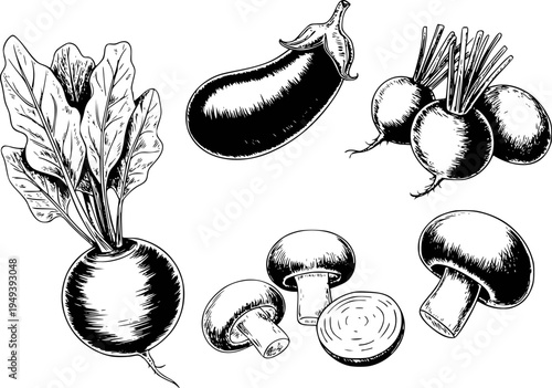 Hand Drawn Black And White Vegetable Isolated White Background food