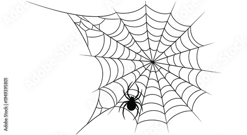 A detailed illustration of a spiderweb with a spider at its center presenting a striking black silhouette high quality professional modern