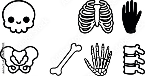 Cute smiling skull rib cage pelvis hand silhouette bone skeleton parts black line art vector set