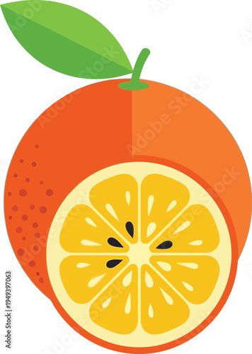 Kumquat citrus fruits, with a whole fruit with a leaf and a halved fruit. 