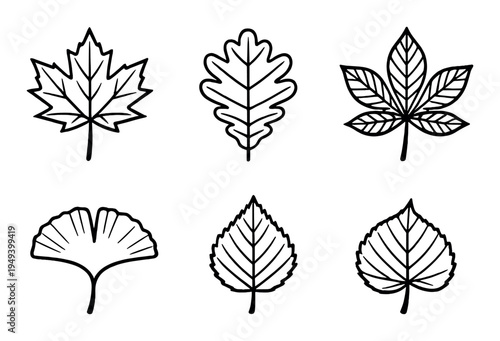 Six leaf silhouettes arranged in two row grid on dark background