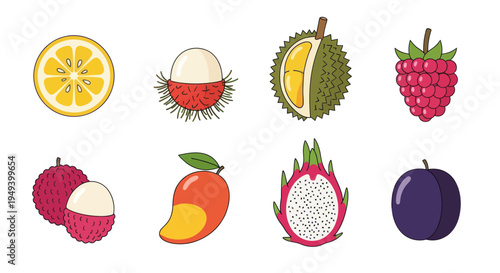 Variety of colorful fresh fruits illustration