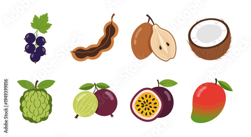 Variety of colorful tropical fruits illustration