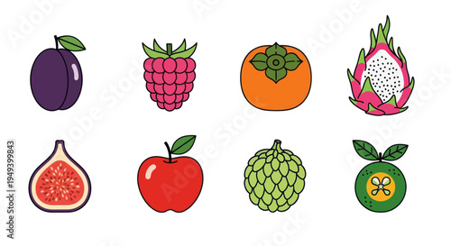 Variety of fresh colorful fruit illustrations