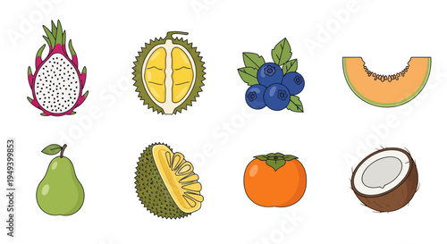 Variety of fresh colorful fruit illustrations