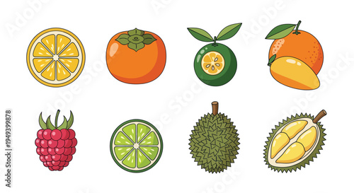 Variety of fresh colorful fruit illustrations