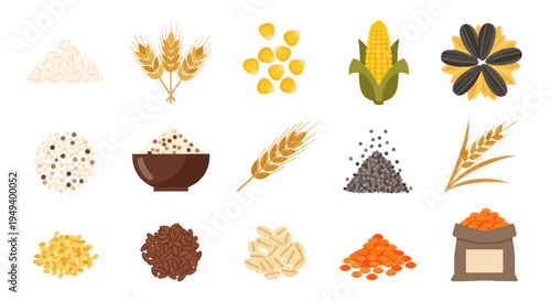 Variety of grains and seeds illustration