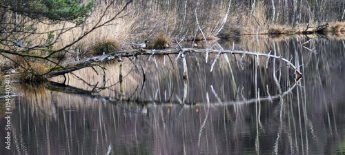 Spiegelbild auf dem Schwarzsee