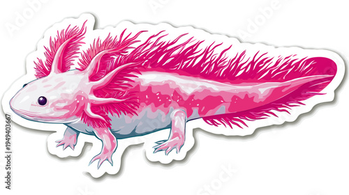 A vibrant axolotl illustration in shades of pink, featuring feathery gills and detailed scales