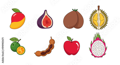 Variety of colorful tropical fruits illustration