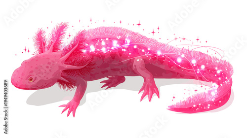 A pink aquatic salamander with feathery gills and glowing highlights and stars