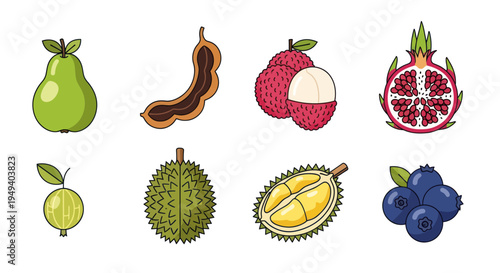 Variety of fresh exotic fruits illustration