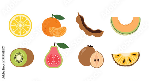 Variety of fresh fruit illustrations
