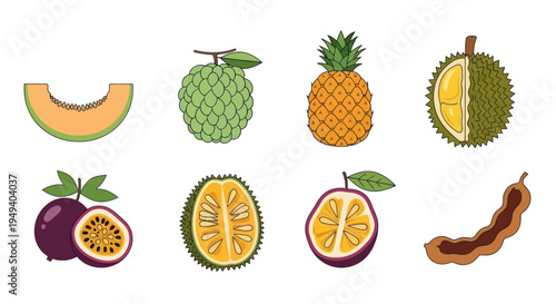 Variety of tropical fruits illustrated