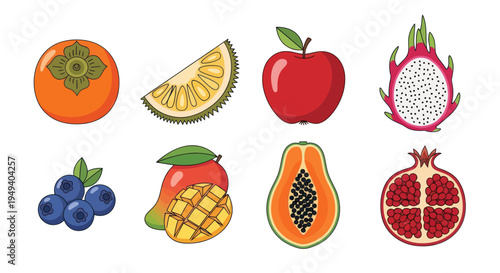 Various colorful tropical fruit illustrations