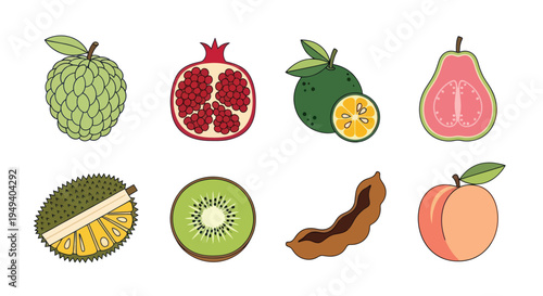 Various colorful tropical fruits illustration