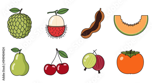 Various fruit illustrations with outlines