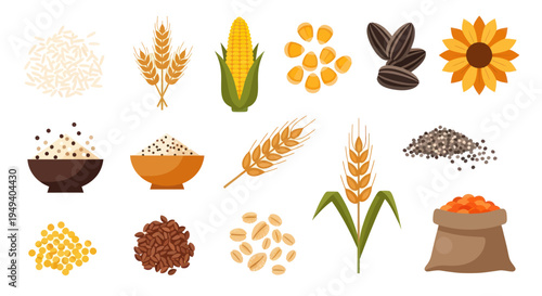 Various grains and seeds isolated on white