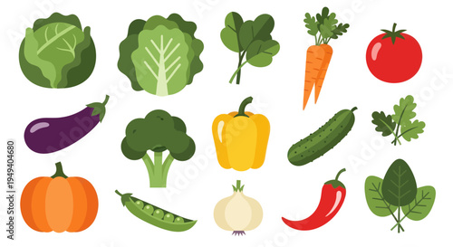 Vegetable assortment graphic illustration