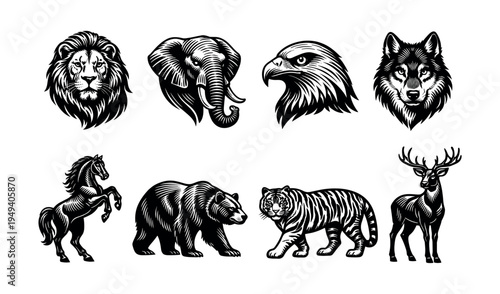 Black and white vector illustration of wild animal heads and silhouettes