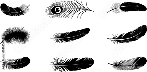 Feather silhouette set including peacock feather, bird plumage collection decorative natural elements isolated flat vector illustration
