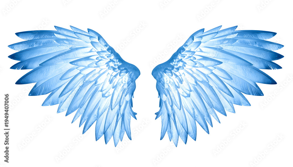 Obraz premium Frozen Ice Crystal Wings mockup isolated on transparent background