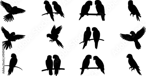 Parrot silhouette set, tropical bird flying and perched poses collection, exotic wildlife parrots isolated black flat vector illustration