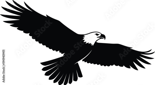 Flying Eagle Silhouette with Spread Wings – Bird of Prey Vector