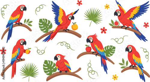 Set of scarlet macaw parrots on tree branches, cartoon illustrations of red tropical birds with exotic leaves and fruits, jungle wildlife vector isolated on white
