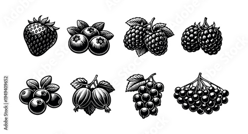 Set of eight black and white vector illustrations of various berries and fruits