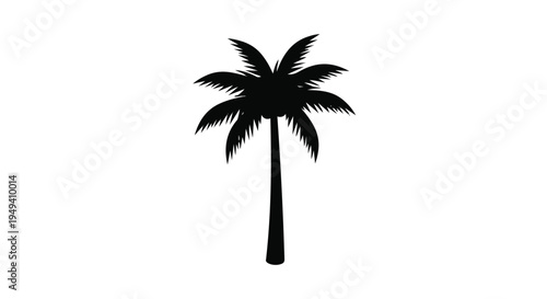 Black silhouette of a palm tree for design and decoration purposes easily