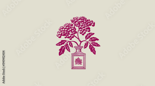 A floral illustration with magenta blooms and leaves in a rectangular vase on a neutral background