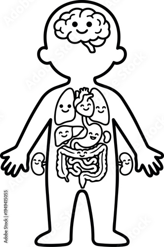Cute cartoon style smiling human body showing happy internal organs including brain lungs heart liver kidneys stomach and intestines