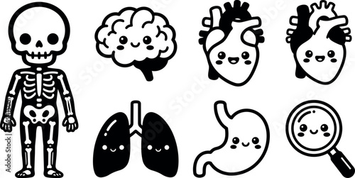 Cute kawaii style black and white vector illustration set of human skeleton brain heart lungs stomach and magnifying glass
