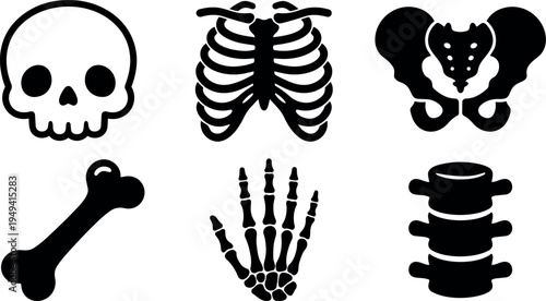 Black and white vector icons of skull ribcage pelvis bone hand skeleton and spine flat design set on white background
