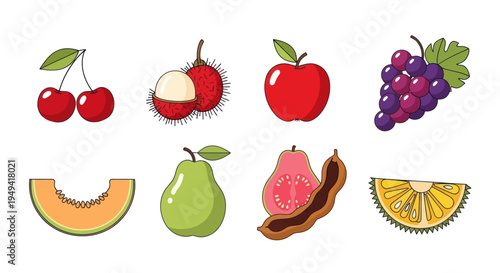 Colorful fruits collection illustration