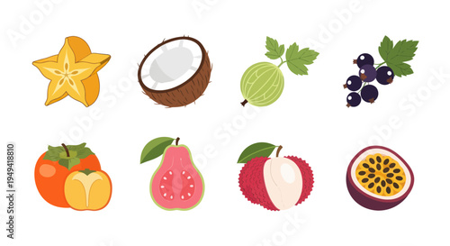 Colorful tropical fruit assortment illustration