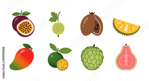 Colorful tropical fruit assortment illustration