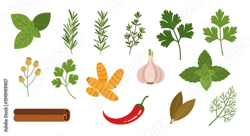 Fresh herbs and spices for culinary use