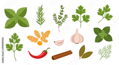 Fresh herbs and spices on white background