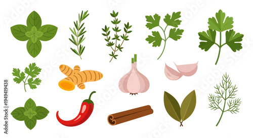 Fresh herbs and spices on white
