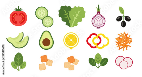 Fresh salad ingredients isolated vector