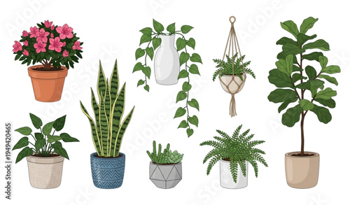 Hand Drawn House Plants Vector Set in Pots and Vases for Indoor Decor