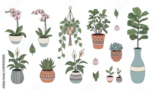 Whimsical House Plants Vector Illustration Set in Pots and Vases for Home Decor