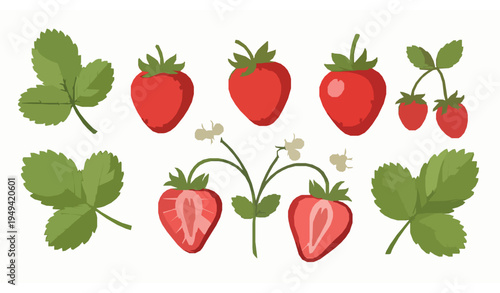 Whimsical Strawberry Vector Illustration Set with Whole Halves Leaves and Flowers