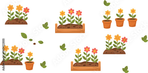 Cute Garden Flower Plants in Pots and Soil Beds with Leaves and Gardening Elements Vector Illustration Collection