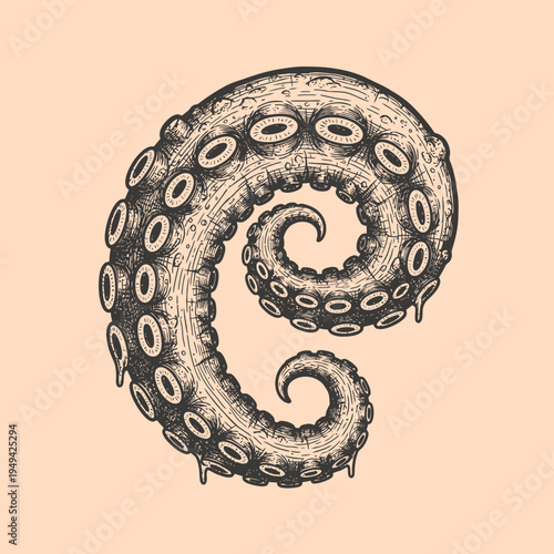 Tentacle with suckers curled up tight.