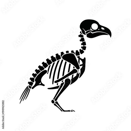 Black silhouette of a bird skeleton.