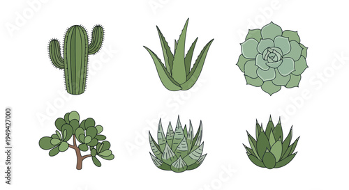 Green botanical illustrations on white background