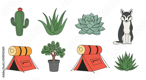 Illustration set of plants animal and camping gear